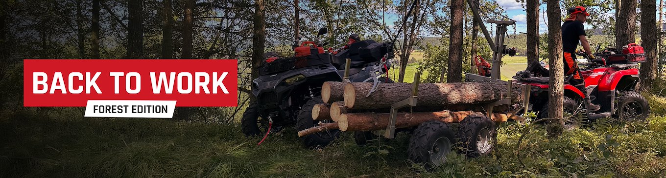 Back to Work – Forest Edition