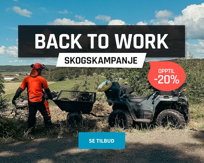 Back to Work