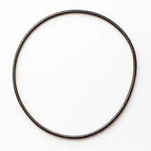 O-Ring Differensial Bak CF Moto
