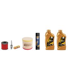 Servicesett Suzuki LTR 450