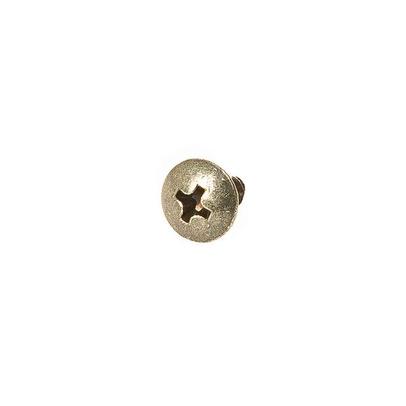 DINLI Skrue baklys Dinli 450 4x10mm