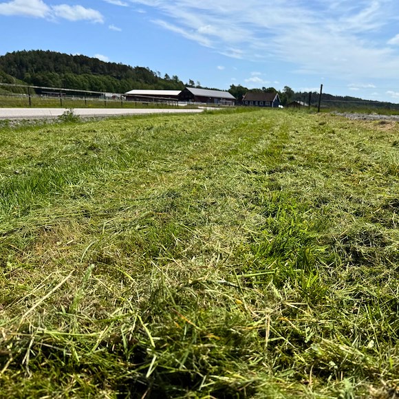ATV-PRO Y-Blad til Beitepusser