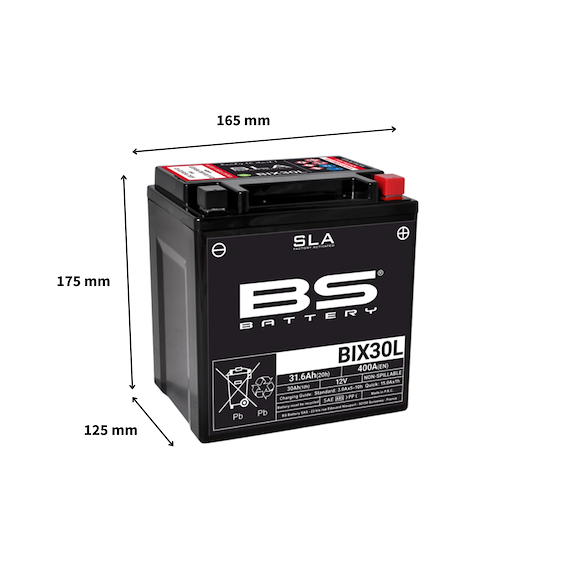 BS Batterier BS ATV Batteri BIX30L SLA 12V (YTX30)