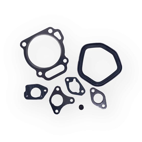 Briggs & Stratton Sotsett