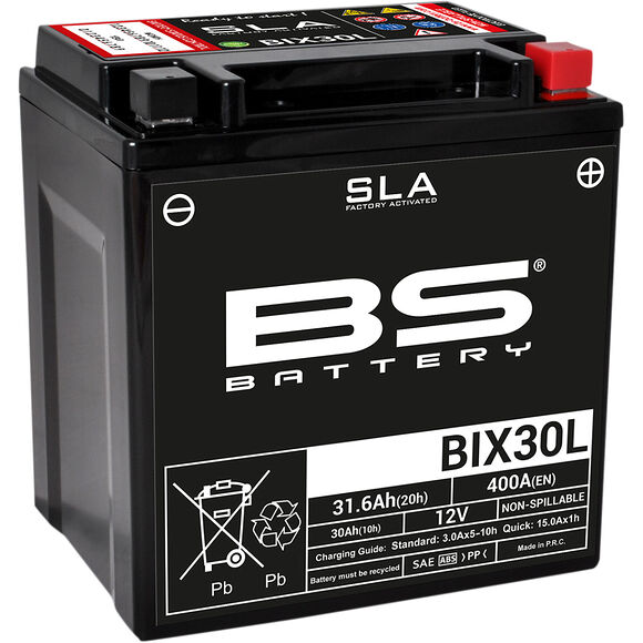 BS Batterier BS ATV Batteri BIX30L SLA 12V (YTX30)