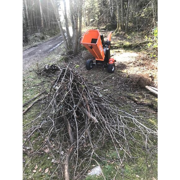 Iron Baltic (IB) Flismaskin / Flishugger PRO-14HP