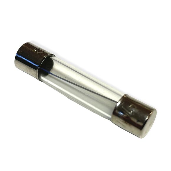 VIKLIGHT Glasssikring 10A 6x30mm