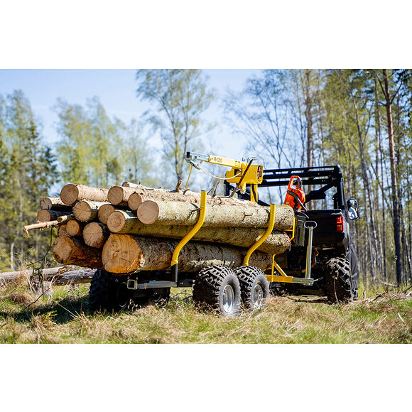 Iron Baltic (IB) IB Tømmerhenger Boggi ATV Offroad 1200 med Kran & Elektrisk Vinsj