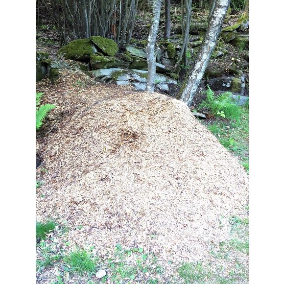 Iron Baltic (IB) Flismaskin / Flishugger PRO-14HP