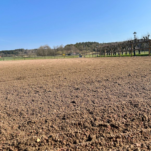 Iron Baltic (IB) Rake for IB Tool Carriers