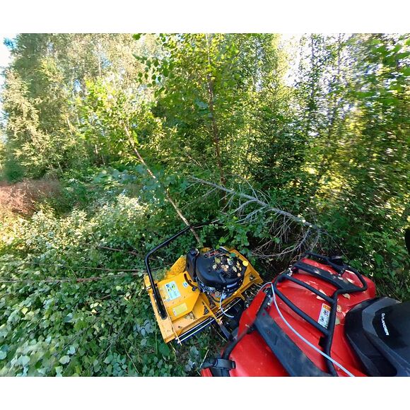 RAMMY Rammy ATV Brushcutter 115 cm med Briggs & Stratton-motor