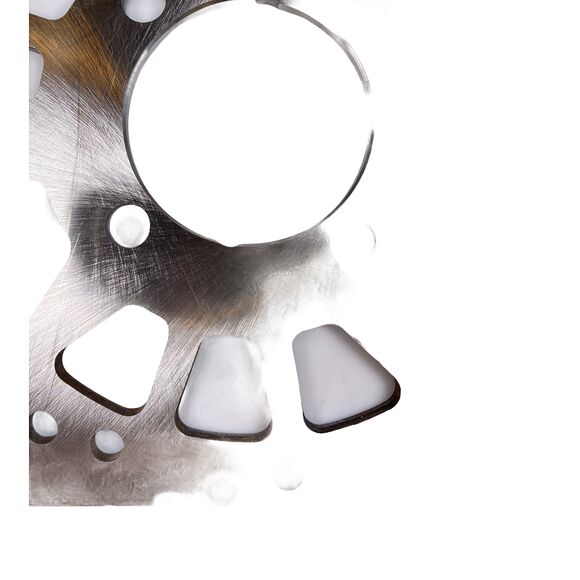 SMC Bremseskive bak SMC Wildcat 500/520