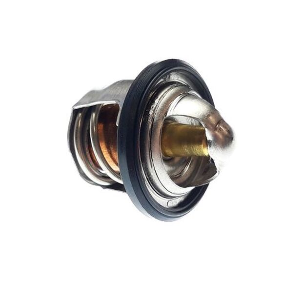 ARCTIC CAT Termostat Arctic Cat