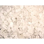 SNOWEX Snowex Helixx UTV Salt/Sandspreder 268L