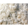 SNOWEX Snowex SP-575X-1 UTV Salt/Sandspreder 165L